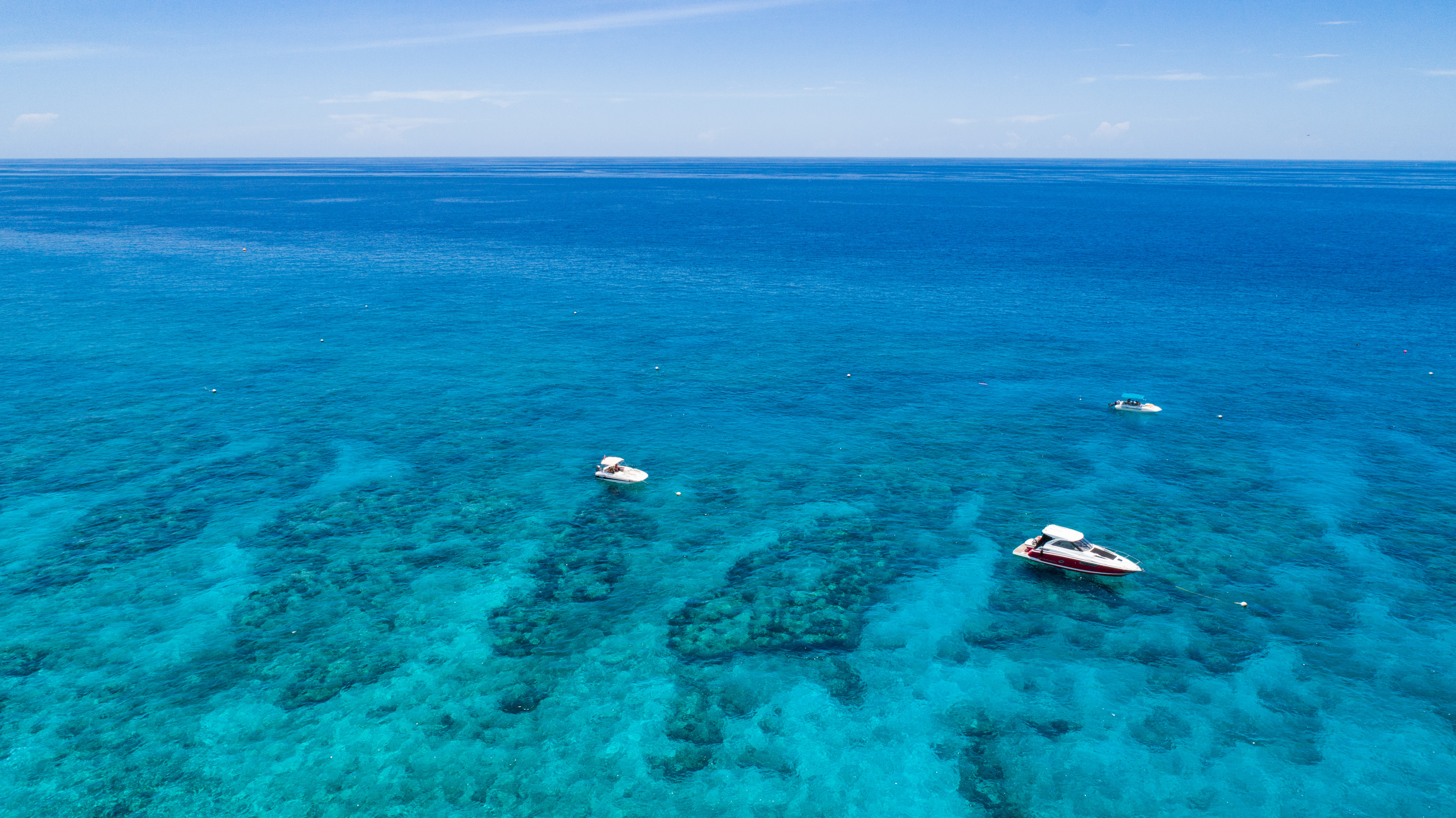 SNORKEL & SANDBAR COMBO TOUR