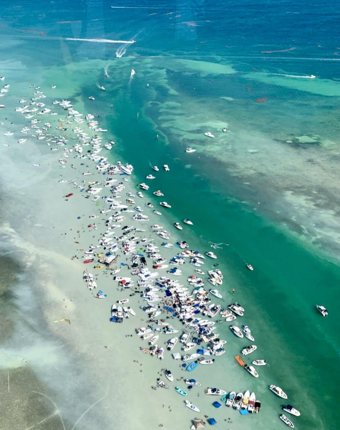 SANDBAR TOURS